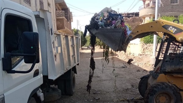 رفع القمامة من مدارس الإسكندرية