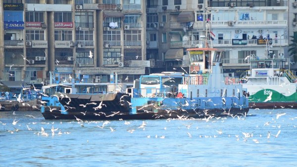 بهنساوي : بورفؤاد أصبحت قبلة الزائرين لما تتمتع به من مقاصد سياحية وتجارية متنوعة