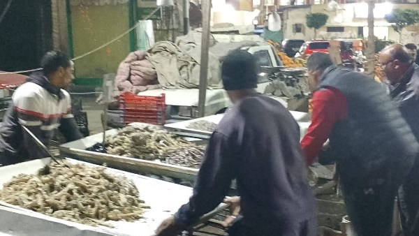 بدأت من أول يوم استلامها قيادة الحى .. العزبي تحذر أصحاب فروشات الخضار و الفاكهة لإعادة الانضباط 