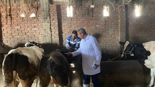 دمياط .. انطلاق الحملة القومية للتحصين ضد الحمى القلاعية و الوادى المتصدع دمياط .. انطلاق الحملة القومية للتحصين ضد الحمى القلاعية و الوادى المتصدع