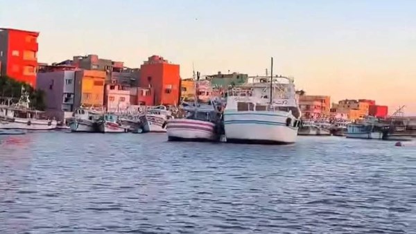 عزبه البرج.. ارشيفيه 