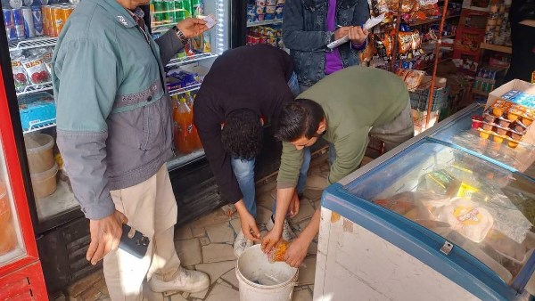 تموين دمياط