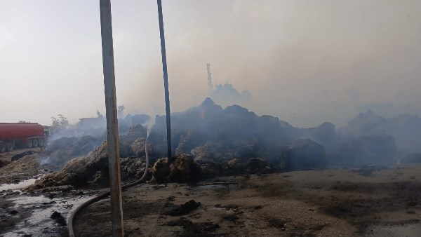 حريق كتان الغربية 