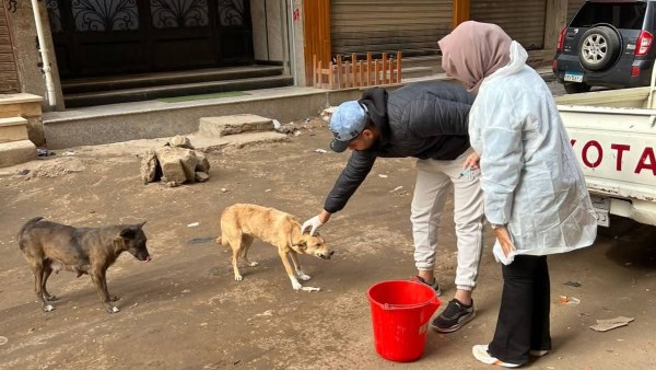 بيطري الشرقية 