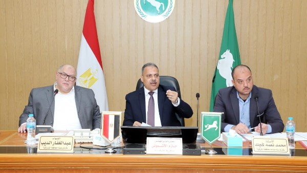 محافظ الشرقية