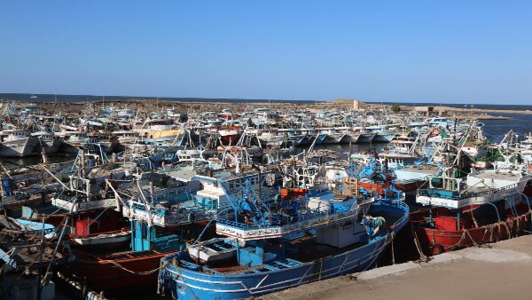 محافظ كفر الشيخ: الانتهاء من رفع كفاءة أرصفة ميناء البرلس البحري محافظ كفر الشيخ: الانتهاء من رفع كفاءة أرصفة ميناء البرلس البحري