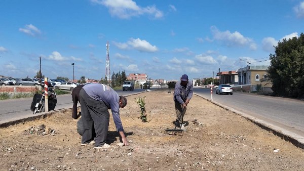 جانب من الأعمال 