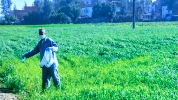 جانب من أعمال الحملة 