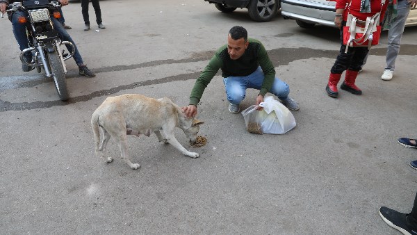 تحصين الكلاب