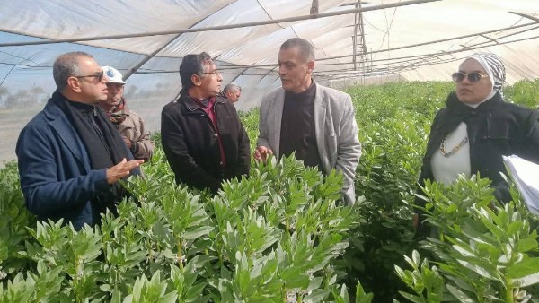 الزراعة تتفقد حالة المحاصيل الشتوية