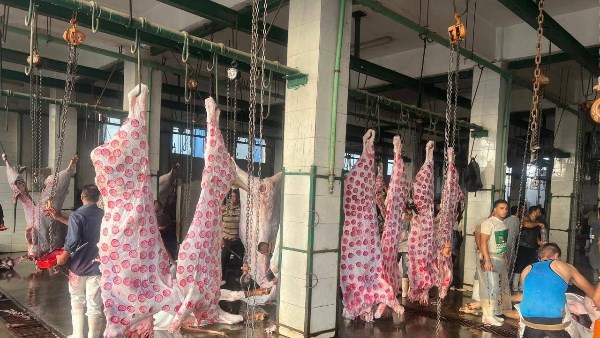 المجازر الحكومية