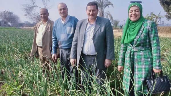 متابعة المحاصيل الاستراتيجية 