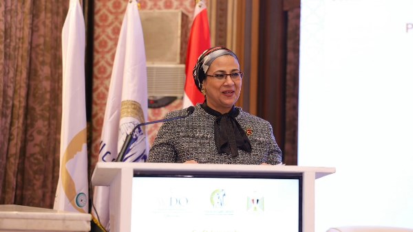 المستشارة أمل عمار رئيسة المجلس القومي للمرأة 