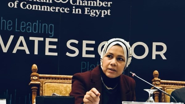 رشا عبد العال