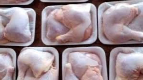 اسعار الفراخ اليوم 