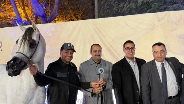 نادي الجزيره