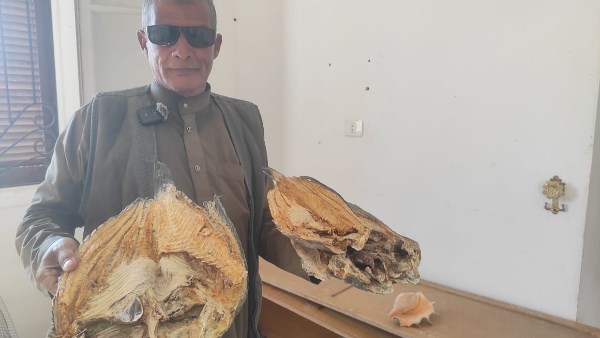 الاسماك المجففة في طور سيناء 