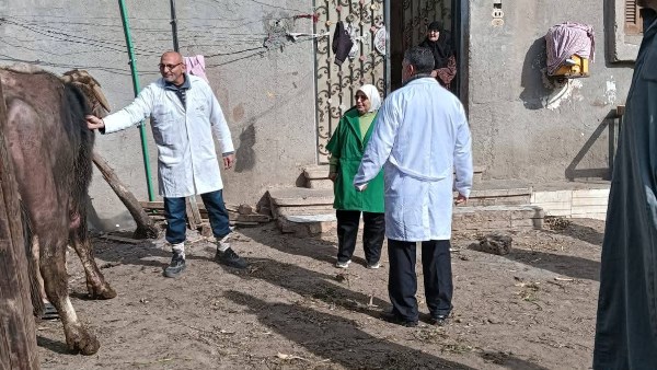 تحصين مواشى 