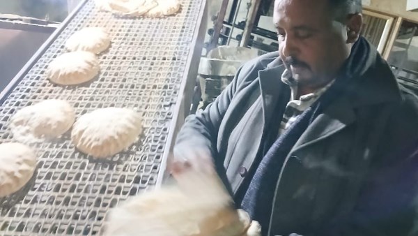 حملات تمونية 