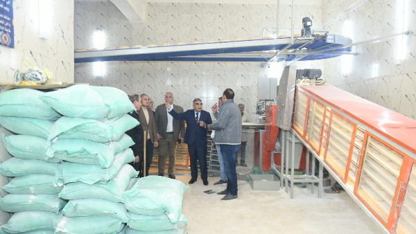 محافظ الدقهلية 