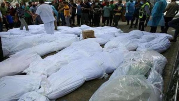 شهداء وجوع في غزة 