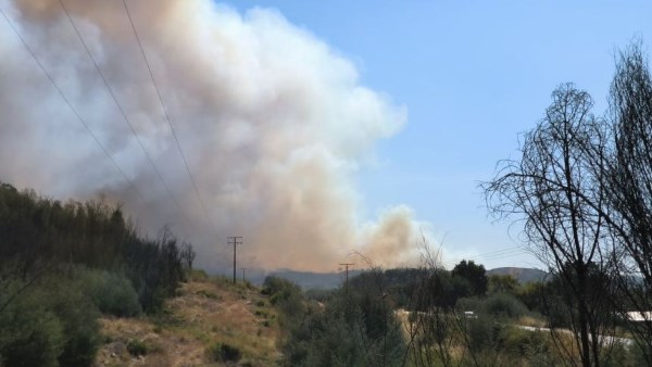  حرائق الغابات في تشيلي