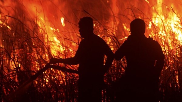 حرائق الغابات