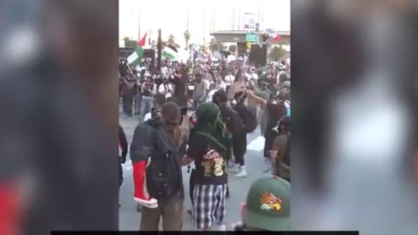 اشتباكات بين متظاهرين مناهضين لهيئة الهجرة والجمارك الأمريكية