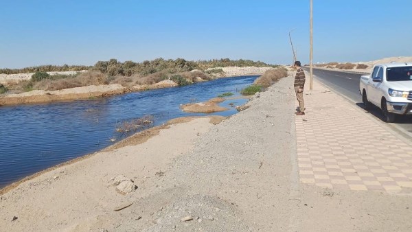 صورة موضوعية