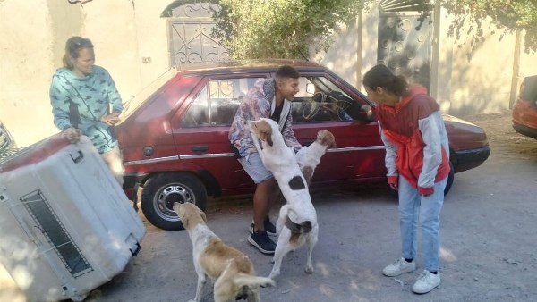 صورة موضوعية