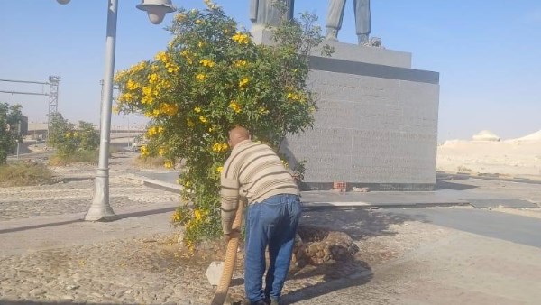 صورة موضوعية