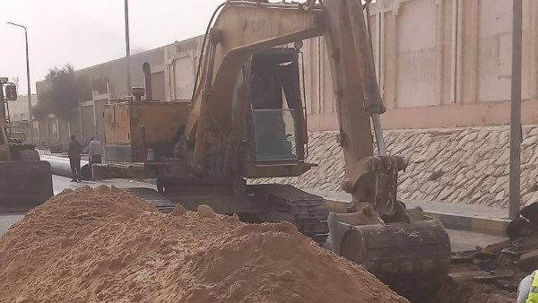 صورة موضوعية