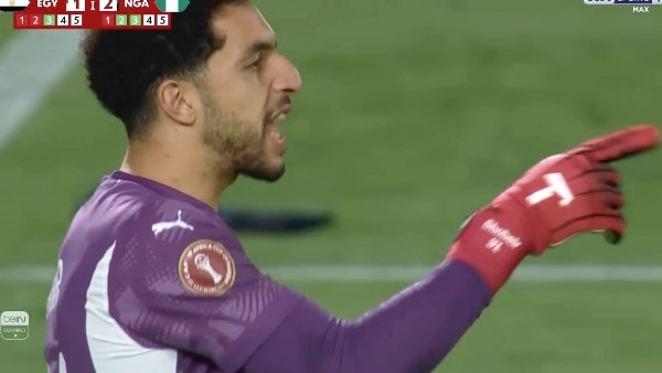 مصطفي شوبير