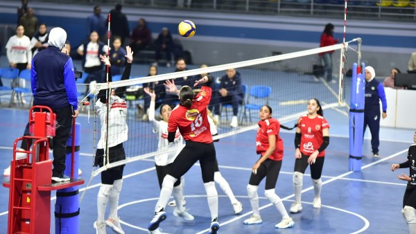 الكرة الطائرة