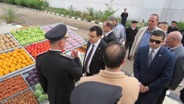 النيابة العامة تُجري تفتيشًا لمركز إصلاح وتأهيل القطا