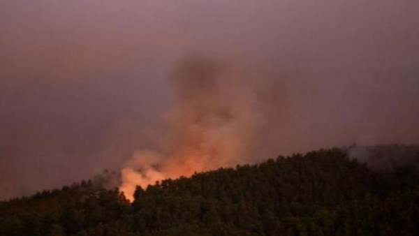 حرائق الغابات 