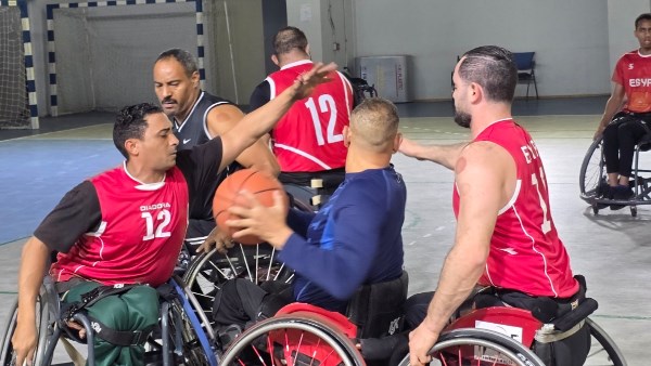 سلة الكراسي المتحركة 