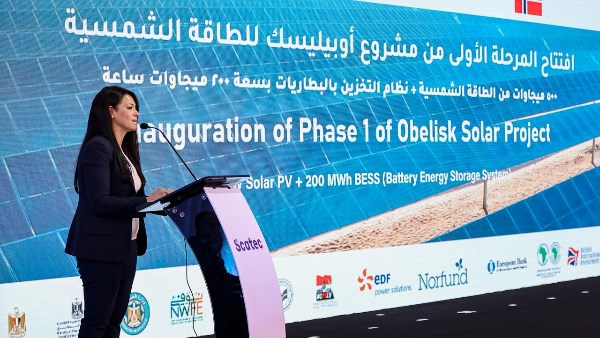 الدكتورة رانيا المشاط