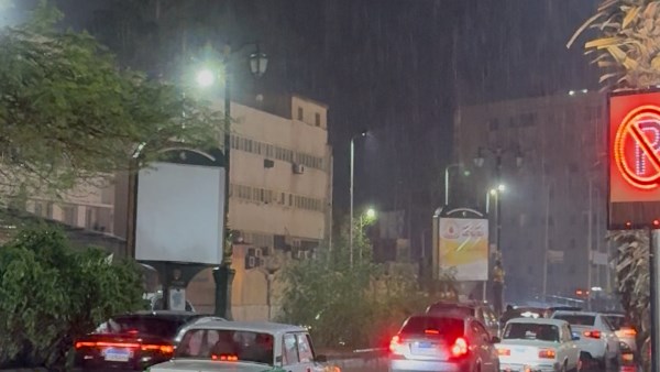 محافظ البحيرة