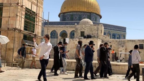 مستوطنون يقتحمون المسجد الأقصى المبارك بحماية شرطة الاحتلال الإسرائيلي