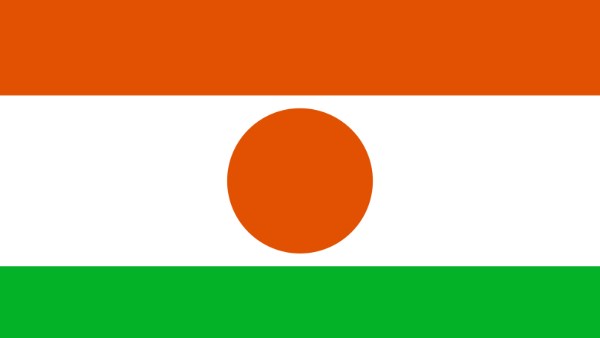 النيجر: تحييد أكثر من 72 إرهابيا في أنحاء البلاد