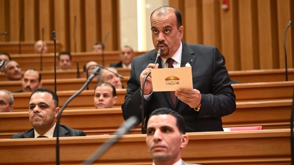 النائب إيهاب إمام 