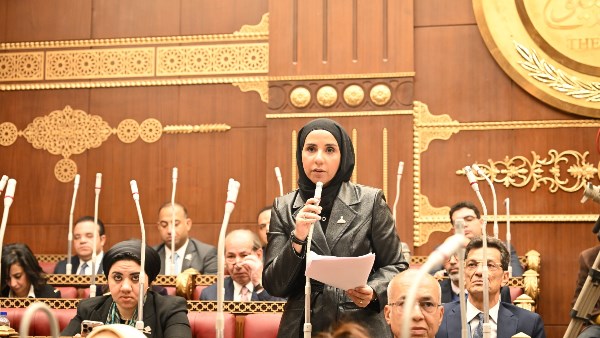  النائبة ولاء هرماس