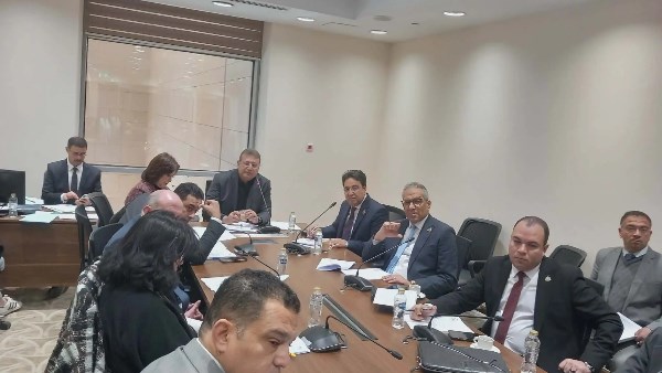 لجنة الشئون الاقتصادية 