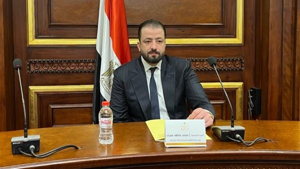 المستشار محمد عمران