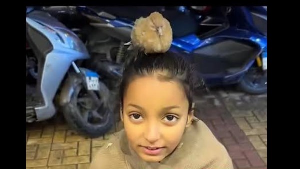«طفلة الحمامة» تشعل السوشيال ميديا.. ومصور الفيديو يكشف مأساة أسرة تعيش تحت خط الفقر