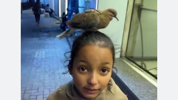 صورة من الفيديو