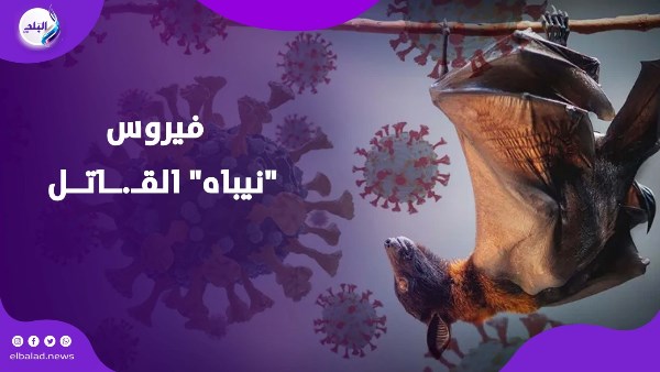  فيروس "نيباه" القـ.ــاتــل 