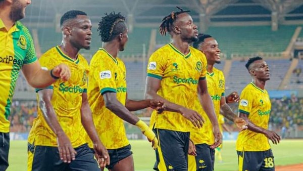 يانج افريكانز 