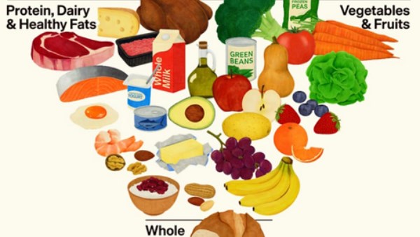 انقلاب غذائي في أمريكا| الهرم يعود.. ولكن بالمقلوب